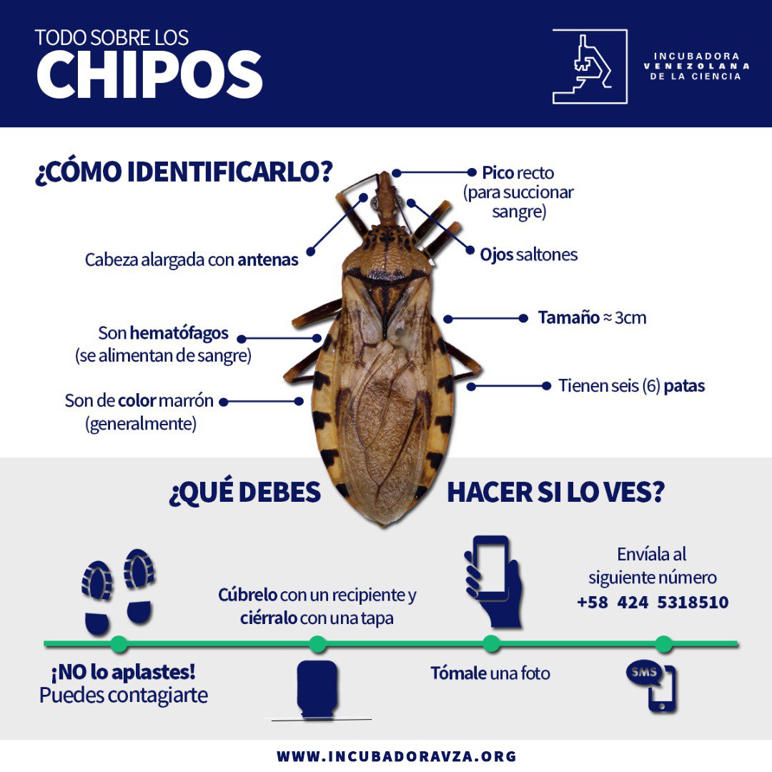 Incubadora Venezolana de la Ciencia suma a la comunidad a lucha contra ...