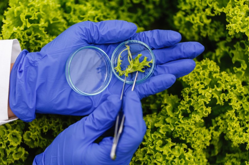 biotecnologias
