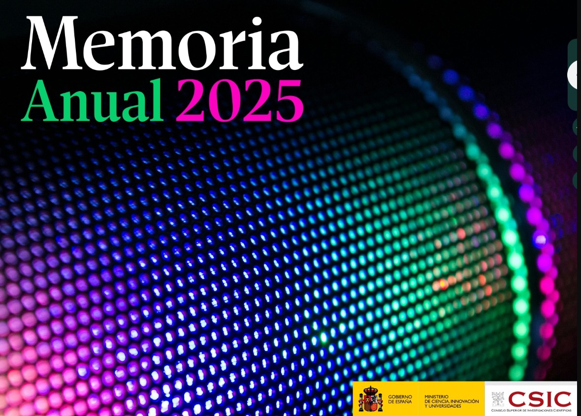 memoria 2025