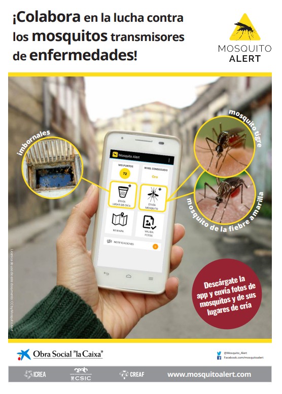 mosquito alert
