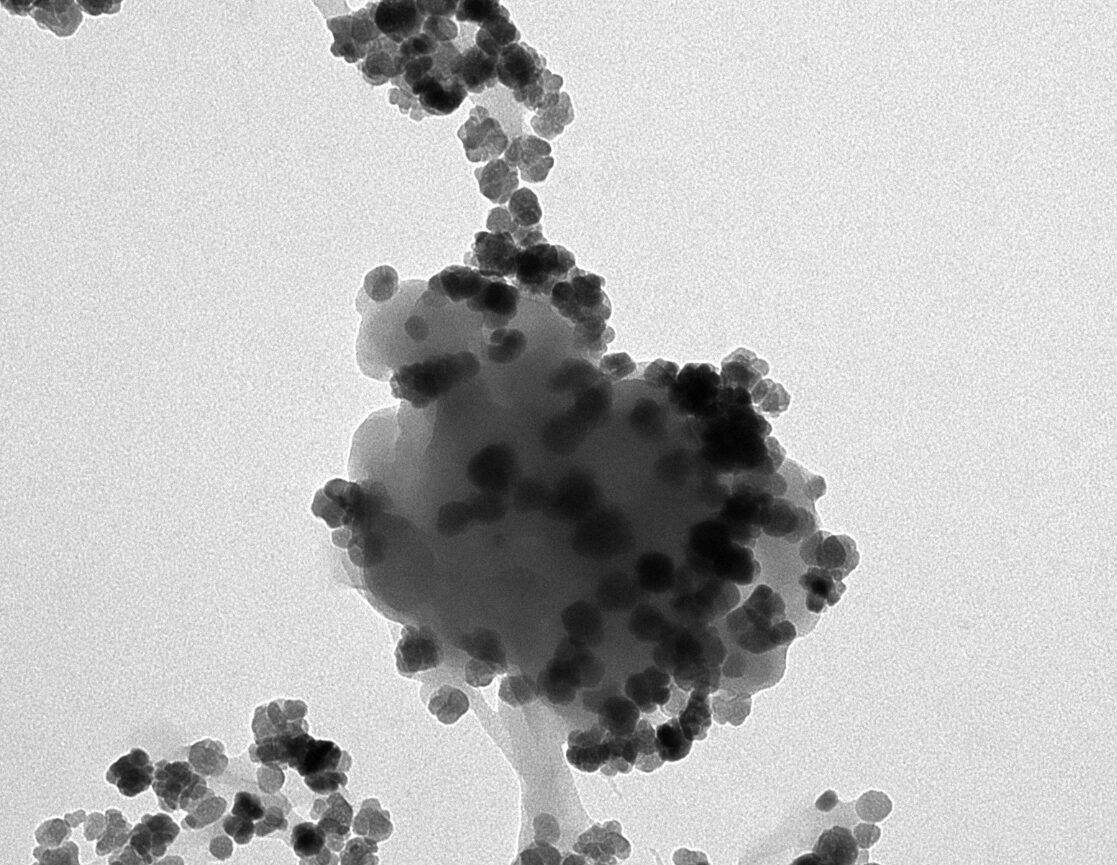 nanopet