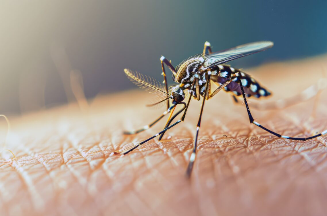 malaria