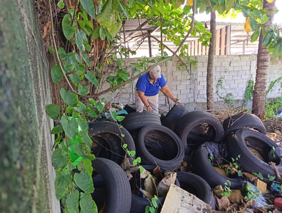 dengue en cauchos